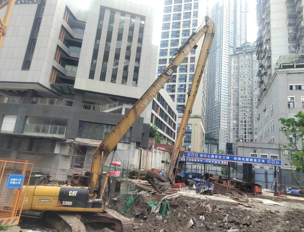 �����ھ������